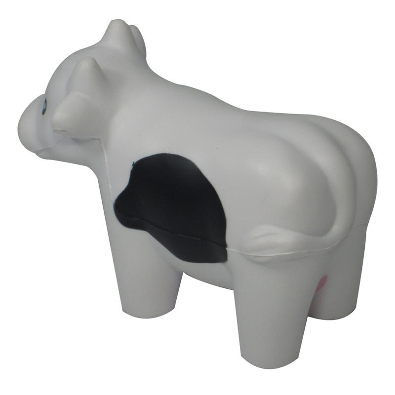 Additional Image # 6