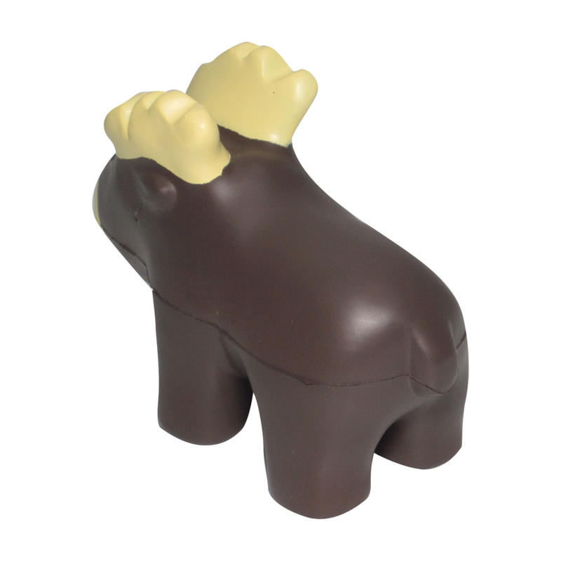 Additional Image # 5