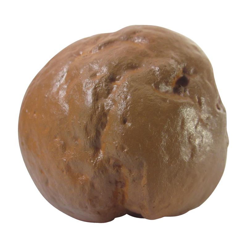 Additional Image # 4