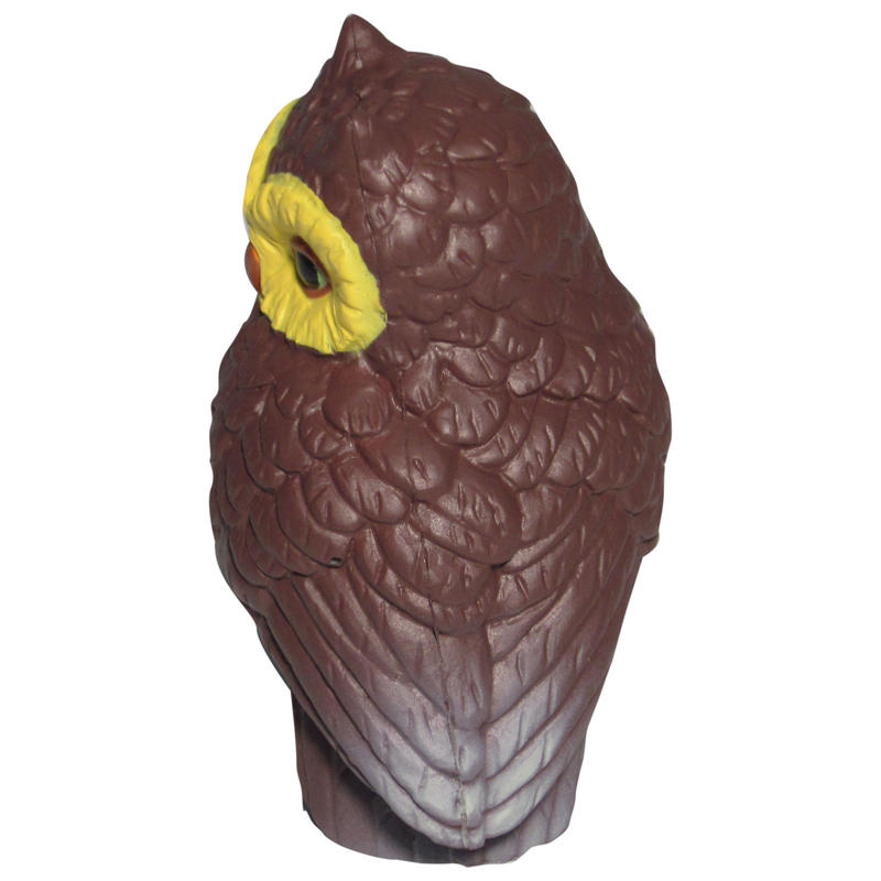 Additional Image # 5