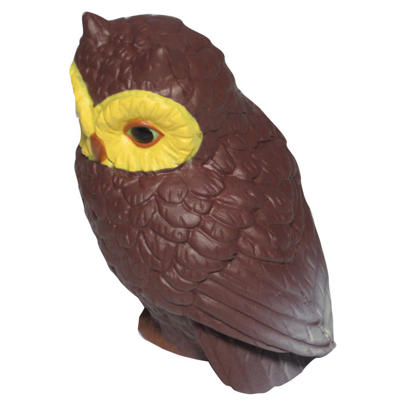 Additional Image # 6