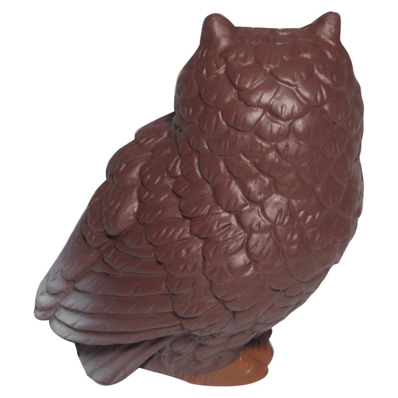 Additional Image # 7