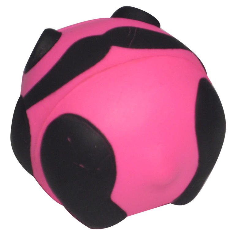 Additional Image # 4