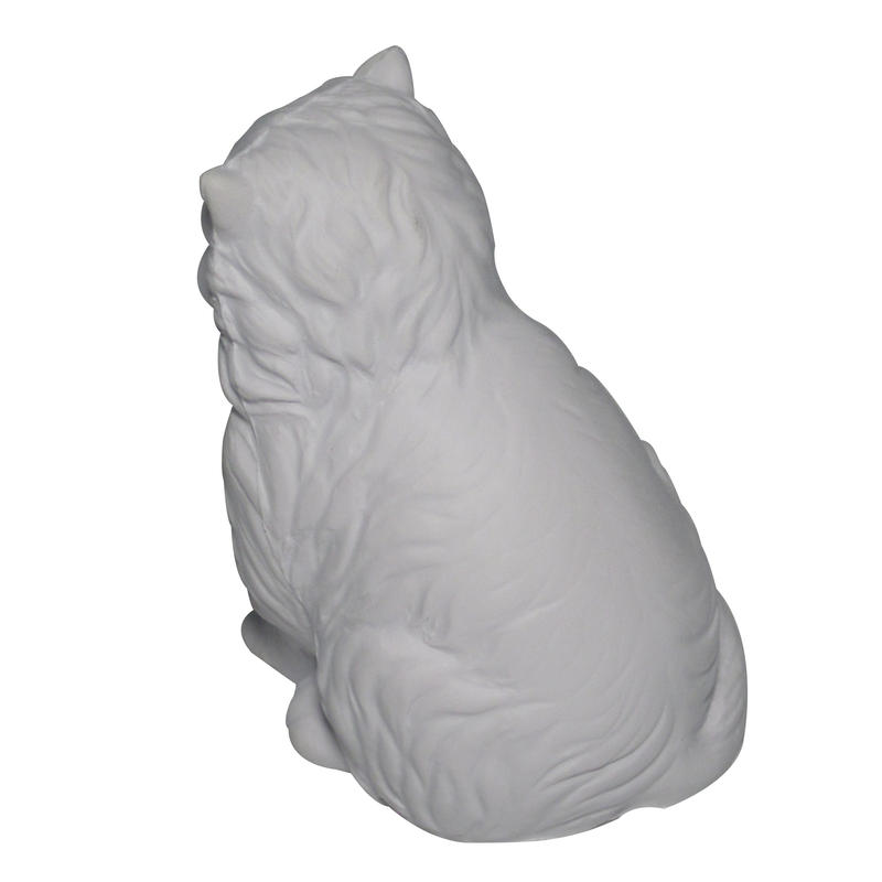 Additional Image # 5