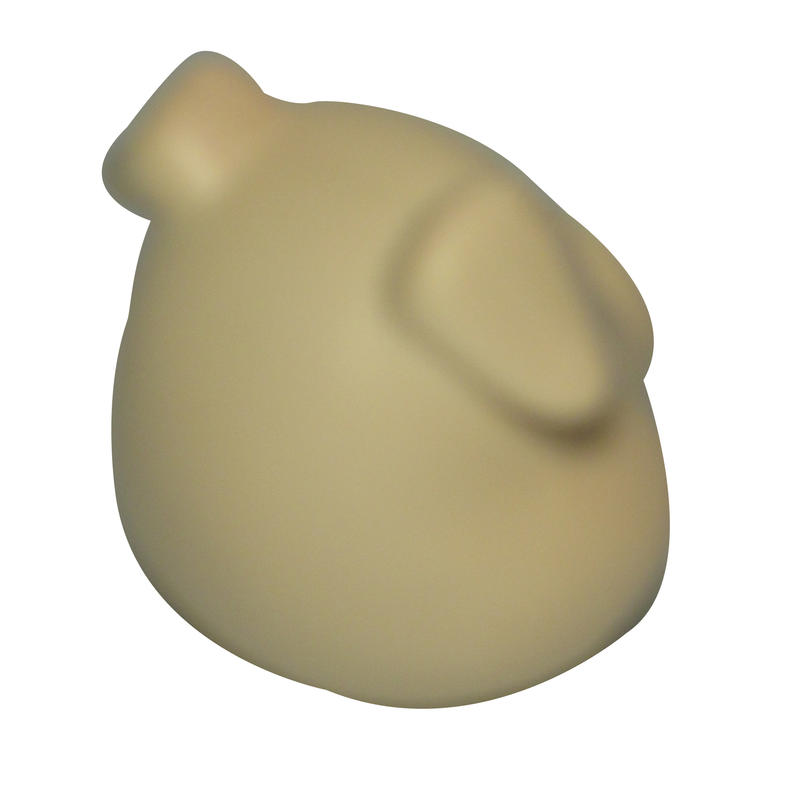 Additional Image # 5