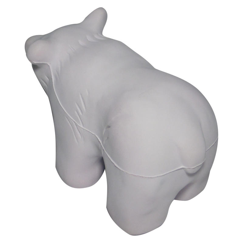 Additional Image # 5