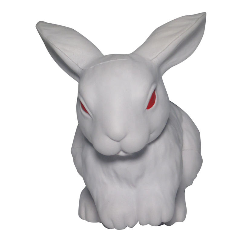 Additional Image # 1