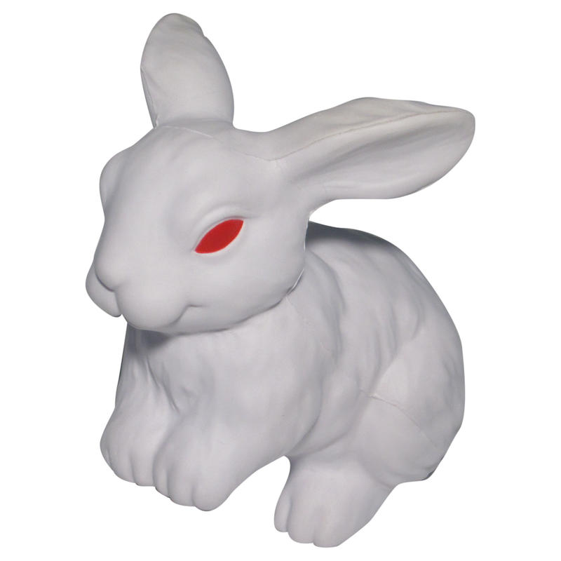 Additional Image # 3