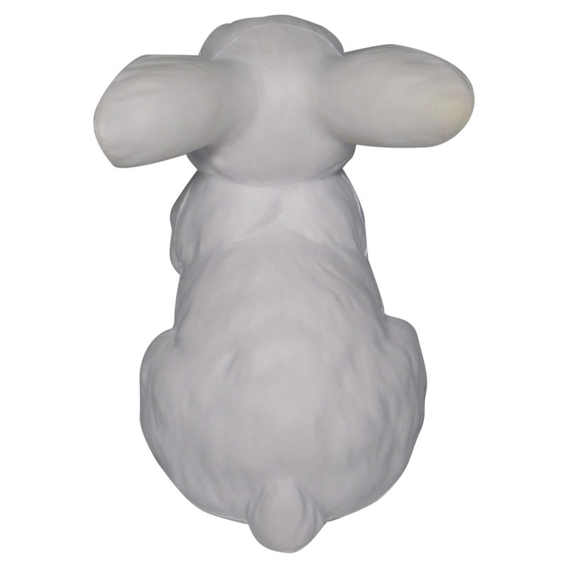 Additional Image # 4