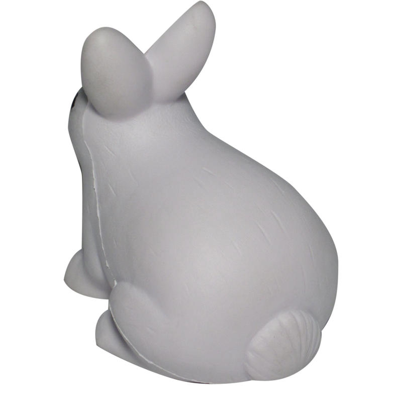 Additional Image # 5