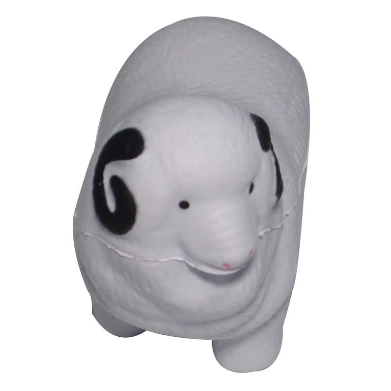 Additional Image # 1