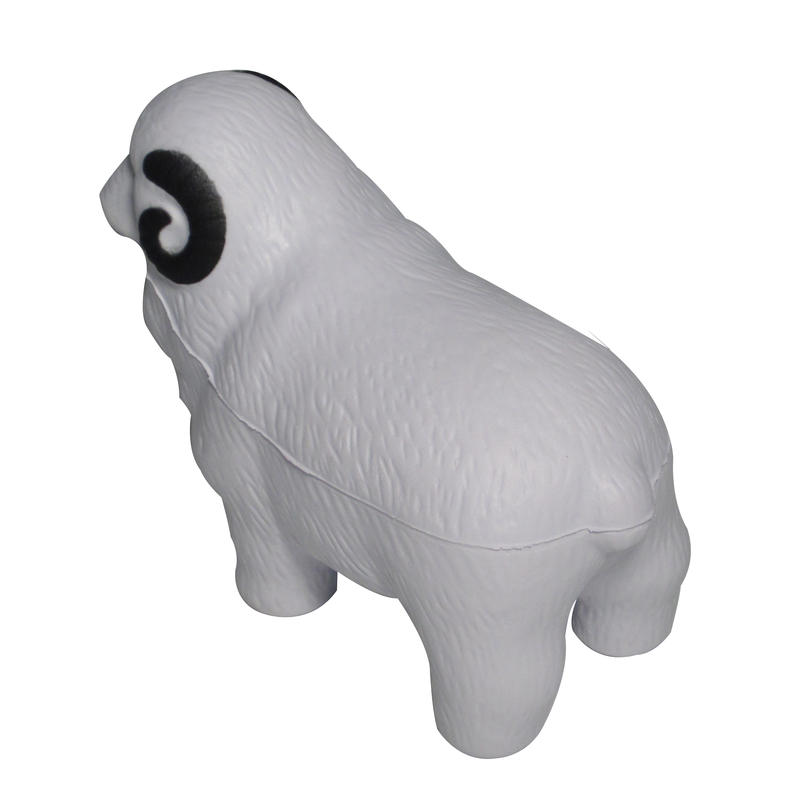 Additional Image # 5