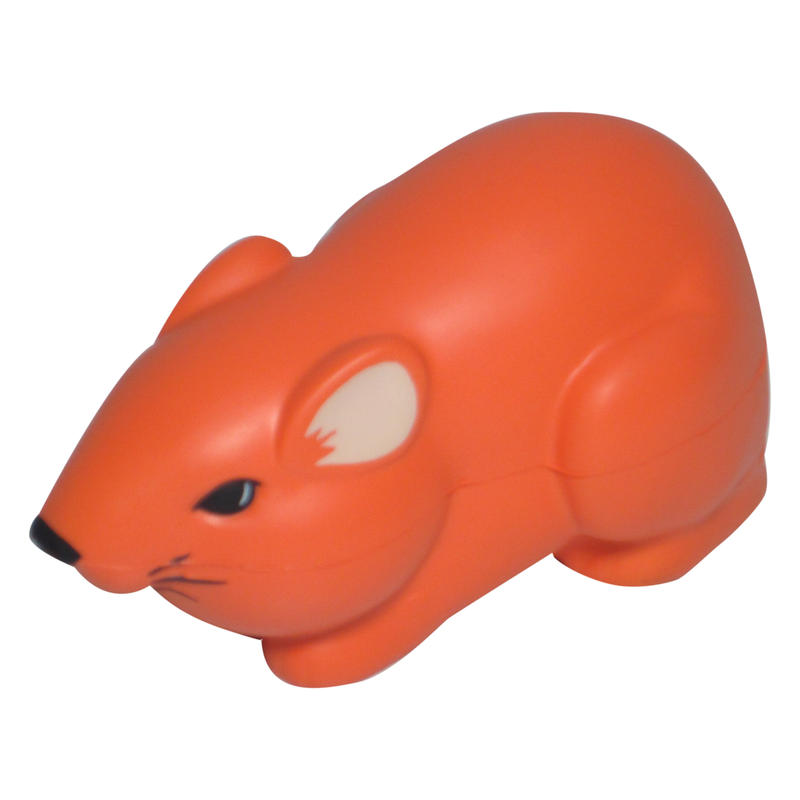 Additional Image # 5