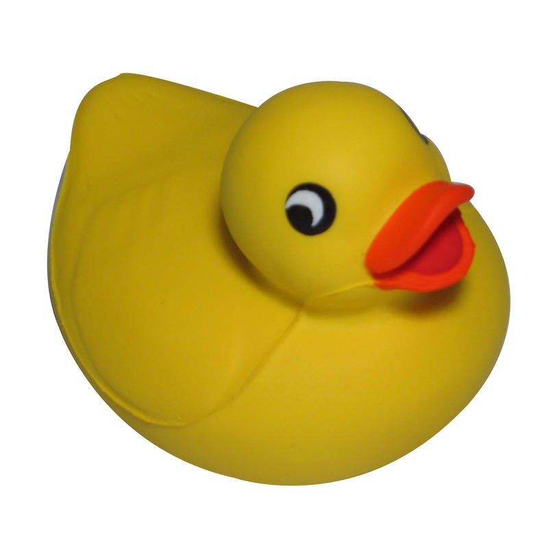 Additional Image # 4