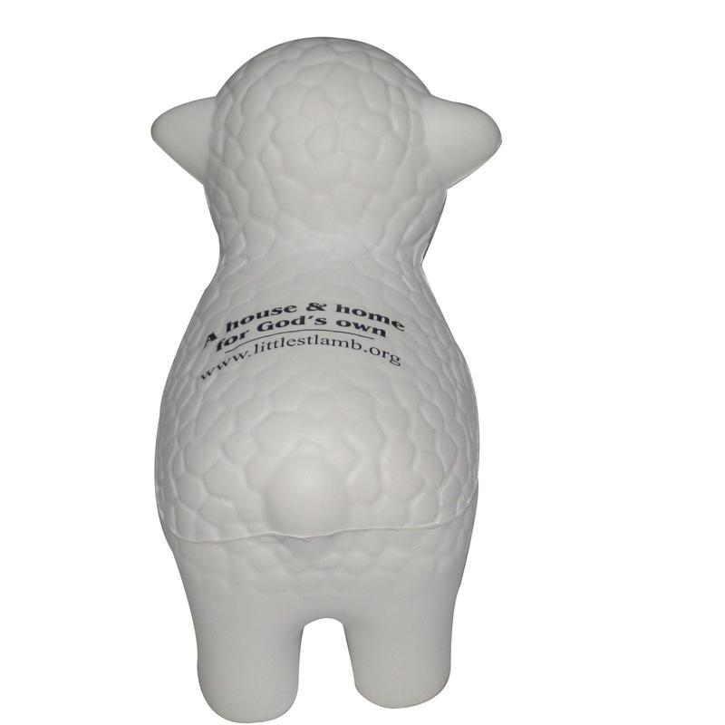 Additional Image # 5