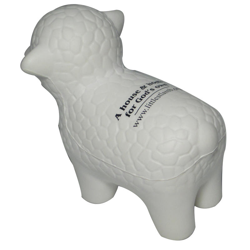 Additional Image # 6