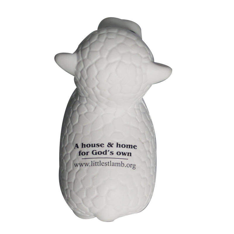 Additional Image # 7