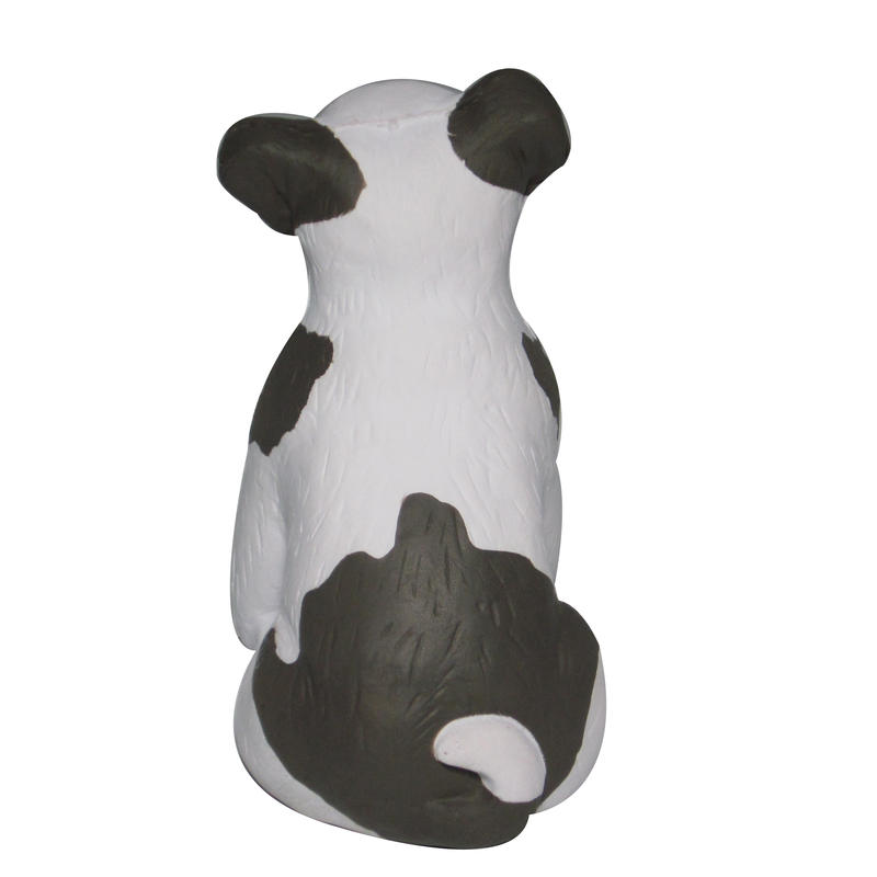 Additional Image # 4