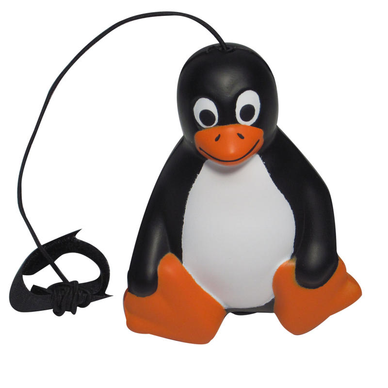 Additional Image # 4