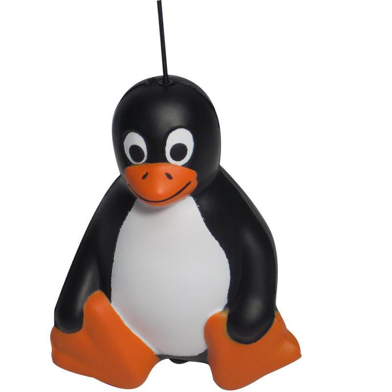 Additional Image # 5