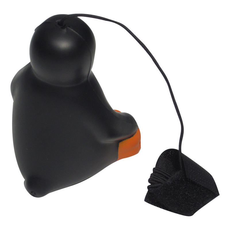 Additional Image # 7