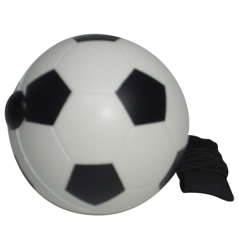 Additional Image # 2