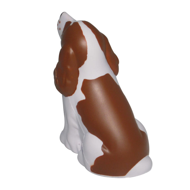 Additional Image # 5