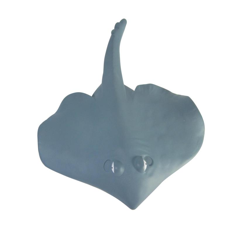 Additional Image # 3