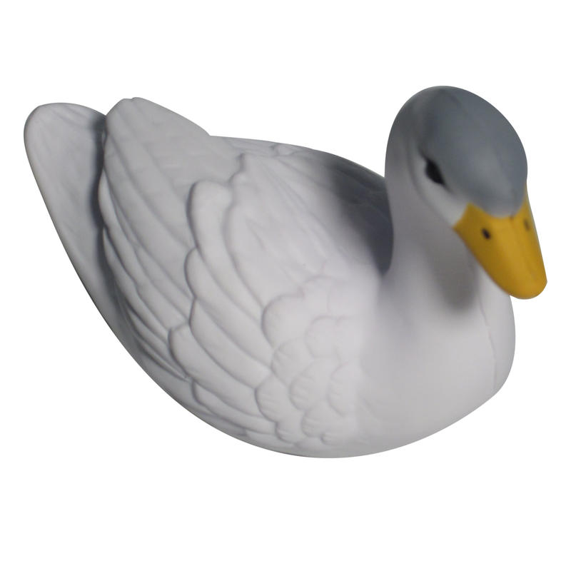 Additional Image # 1