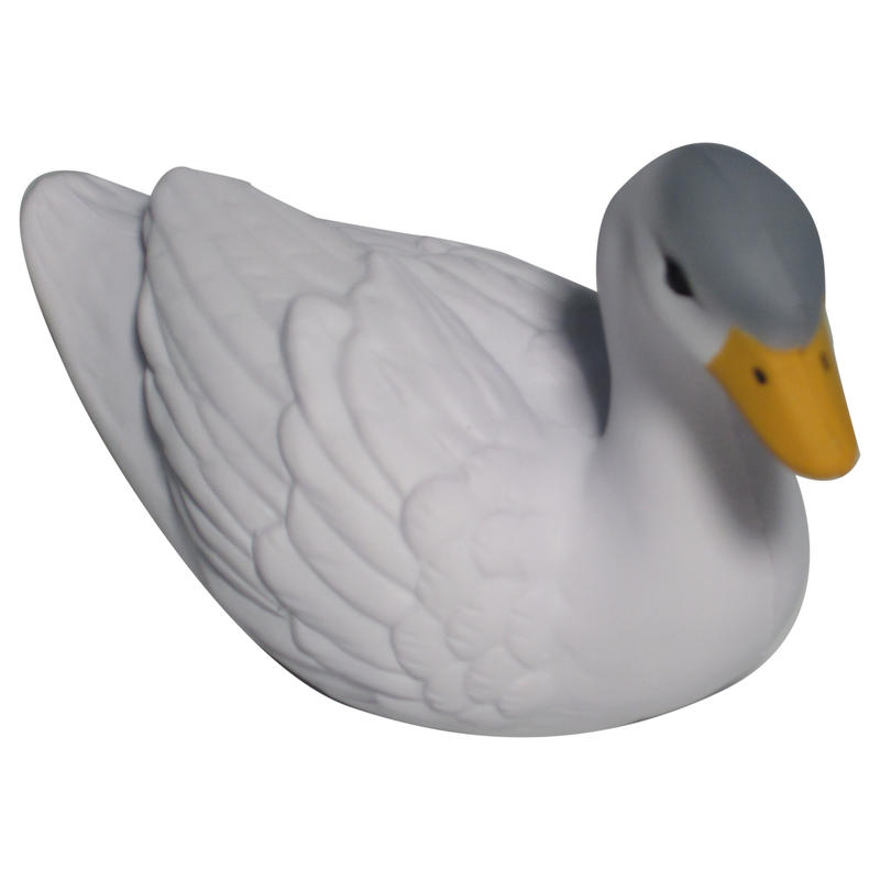 Additional Image # 2