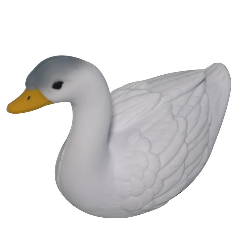 Additional Image # 4