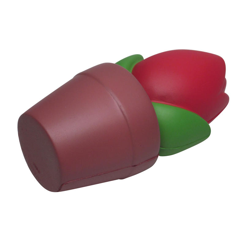 Additional Image # 3