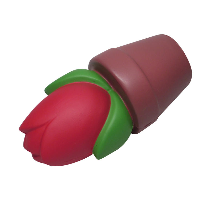 Additional Image # 4