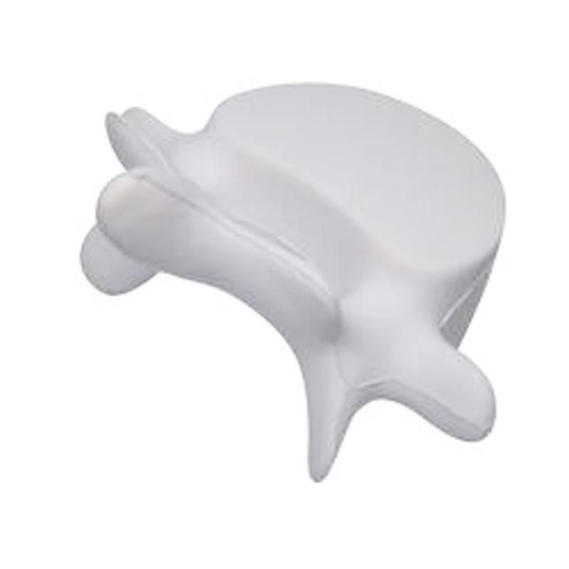 Additional Image # 2