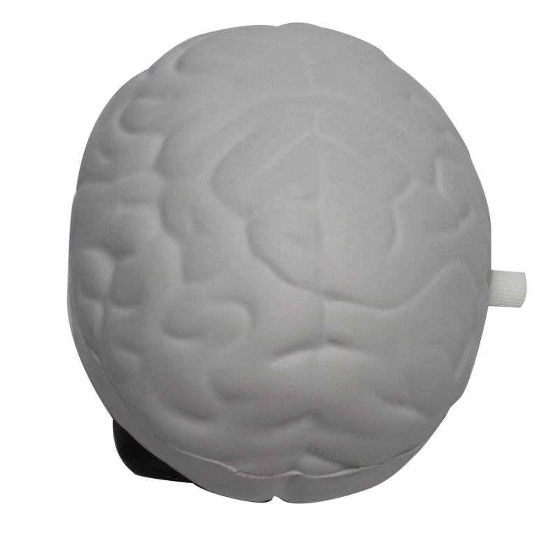 Additional Image # 1