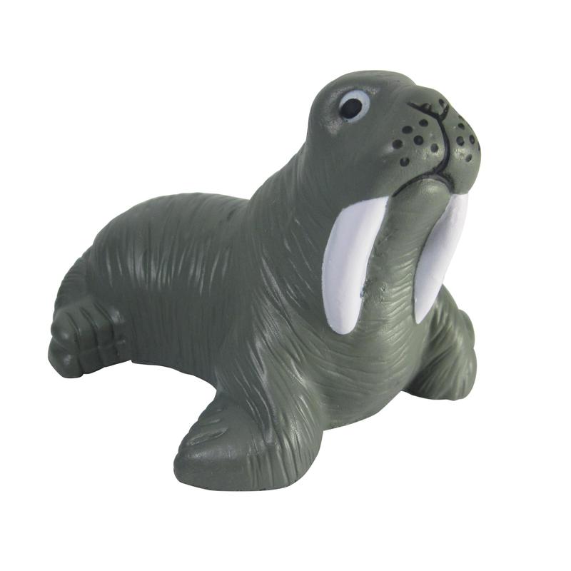 Additional Image # 5