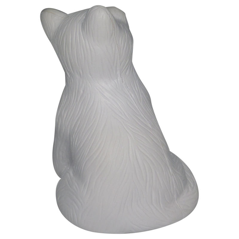 Additional Image # 5