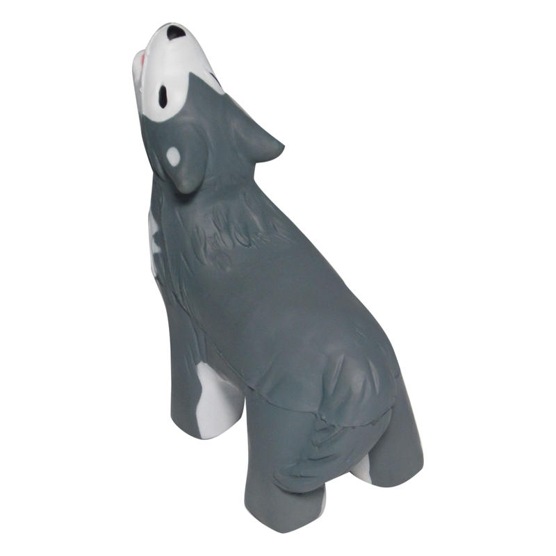 Additional Image # 5