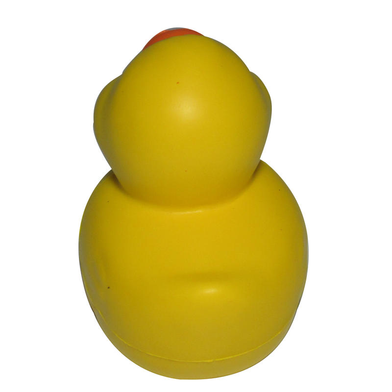 Additional Image # 5